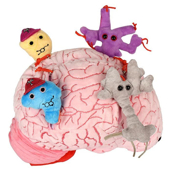 Deluxe Brain Av Giant Microbes